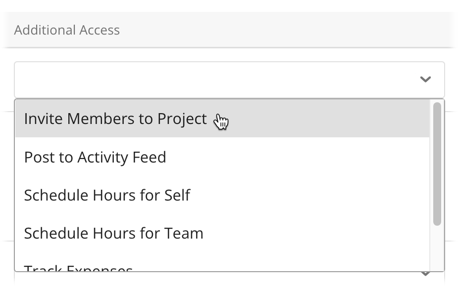 Invite_Members_to_Project_Additional_Access_menu.png