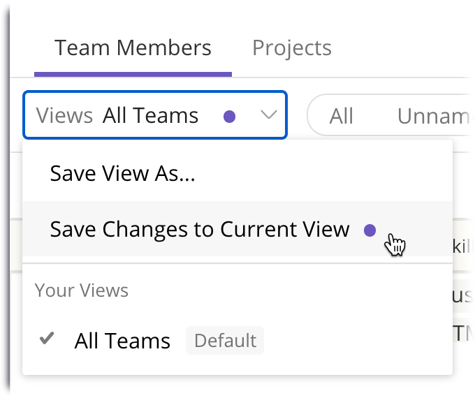 Resource_Center_Save_Changes_to_Current_View.png