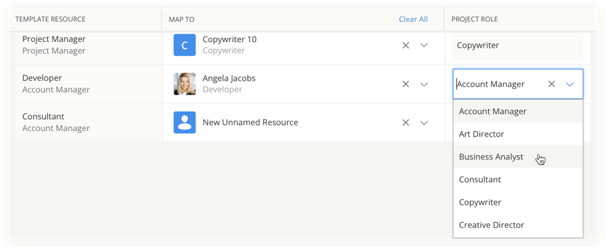 Project_Role_dropdown.png