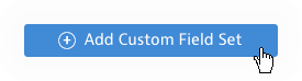 Add-Custom-Field-Set.png