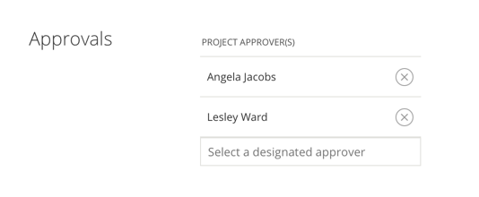 Designated Project Approvers.png
