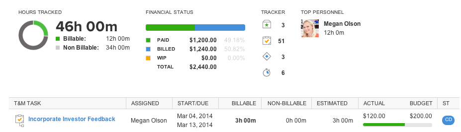 The Project Details Analytics Report