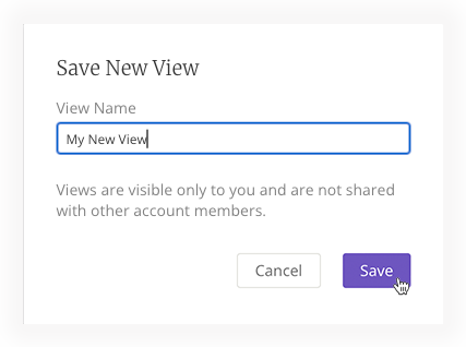 Save New View modal.png