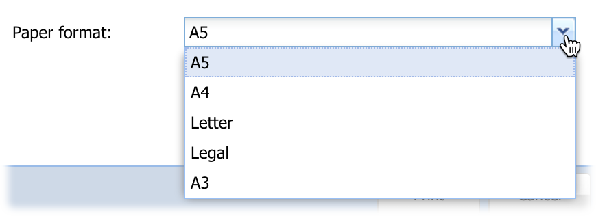 Global Gantt Paper Format.png