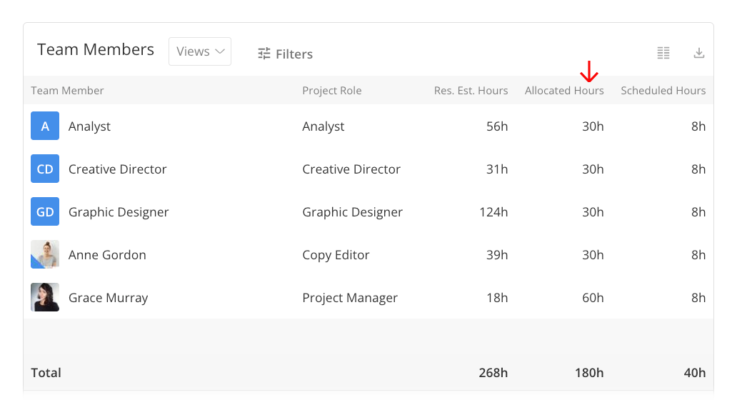 allocated-hours-in-overview-tab-team-members-table2.png