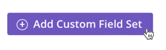 Add Custom Field Set.png