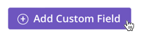 Add Custom Field button.png