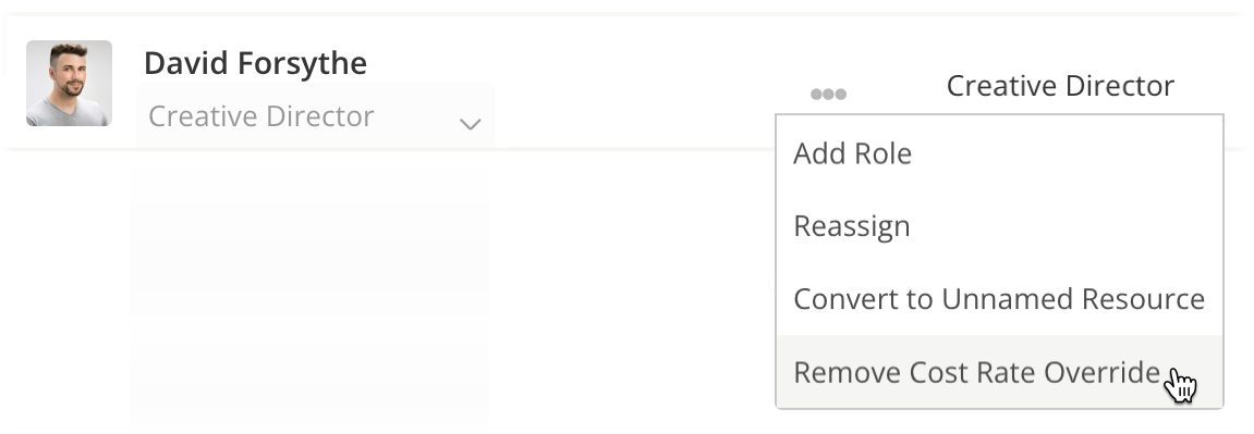 Remove Cost Rate Override Menu Option.png