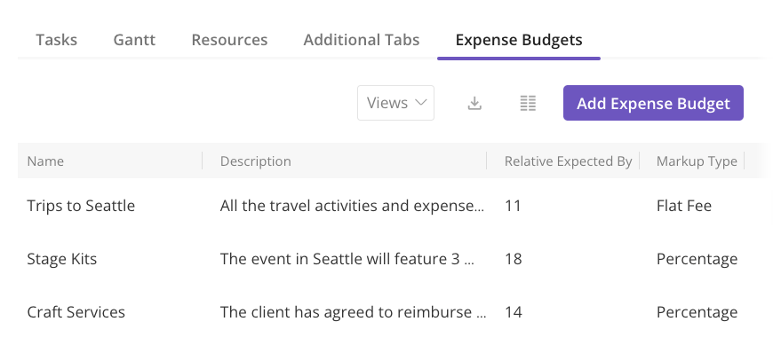 Expense Budgets Tab in Templates.png