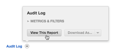 Audit-Log-Report.png