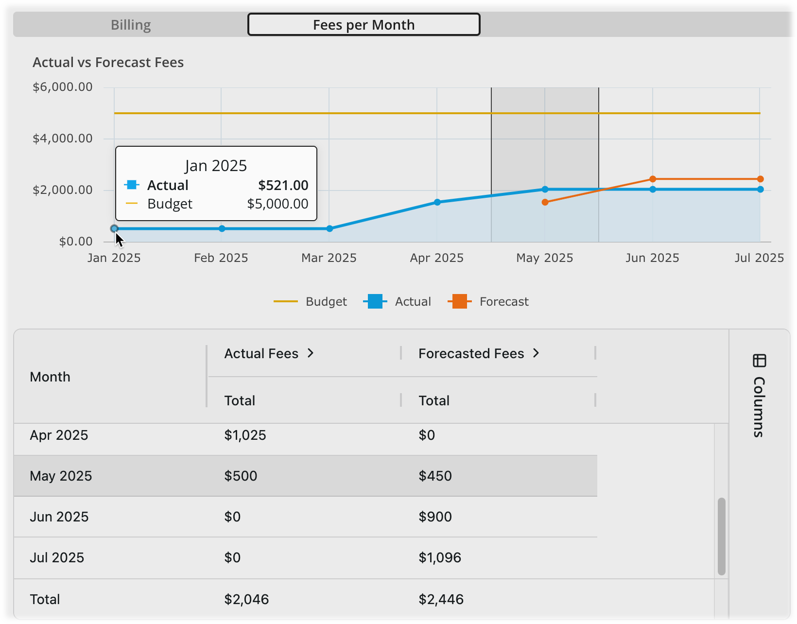Data in Fees per Month subtab.png