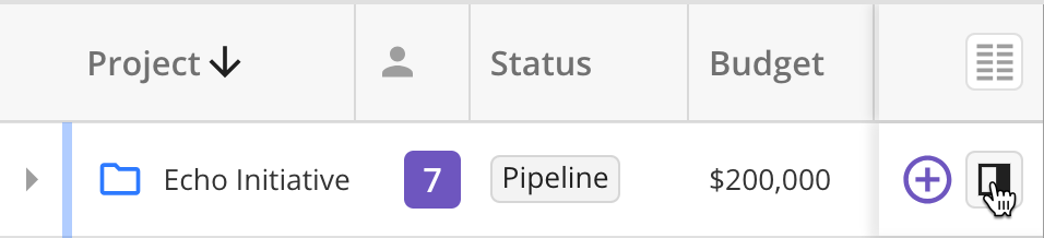 Open Project Side Panel in Projects tab.png