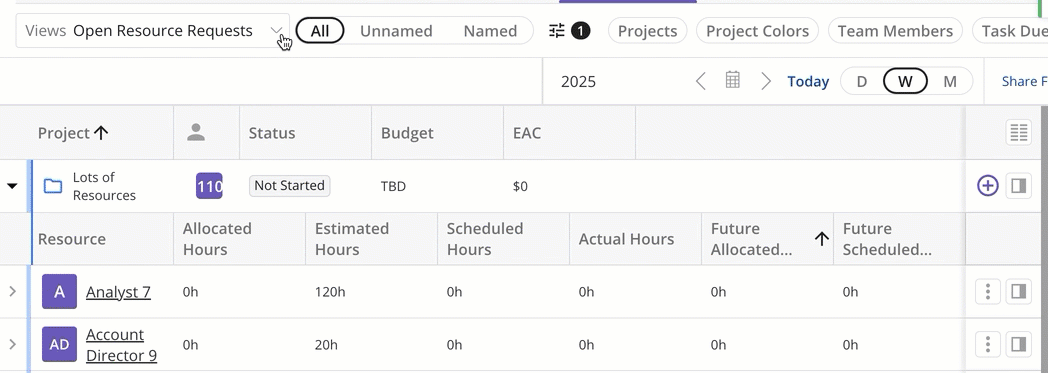 Saved-Views-in-EA-Projects-Tab.gif