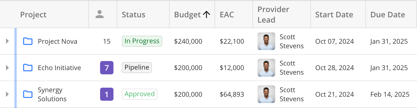 Columns in Project Row for Projects Tab.png