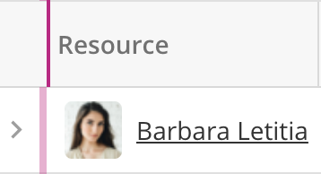 Resource Column in Projects Tab_Secondary Row.png