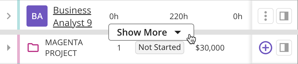 Show More Resources in Projects.png