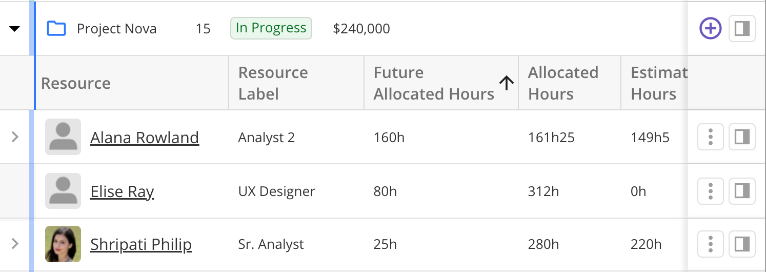 Resources Sorted by Future Allocated Hours.png