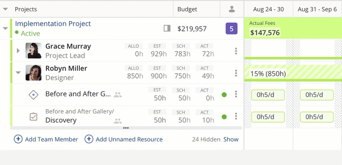 Legacy-Timeline-Display-Preferences-for-Projects-tab.gif