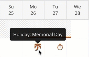 Time-Off-and-Holidays-in-Day-View-for-Allocated-Hours.gif
