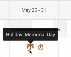 Time-Off-and-Holidays-in-Week-View.gif
