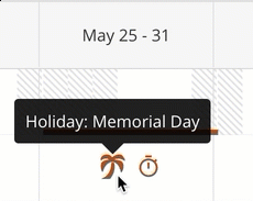 Time-Off-and-Holidays-in-Week-View-for-Allocated-Hours.gif