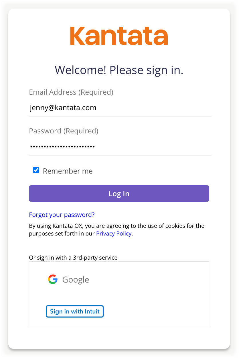 Login Page with Credentials Entered.png