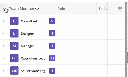 Expand-All-in-Team-Members-Tab.gif