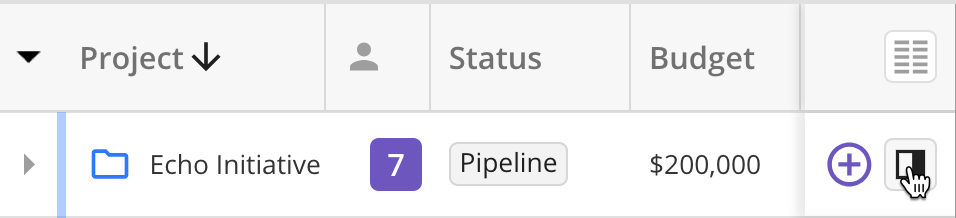 Open Project Side Panel in Projects tab.png