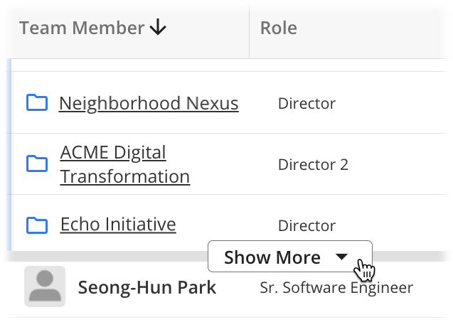 Show More Projects.png