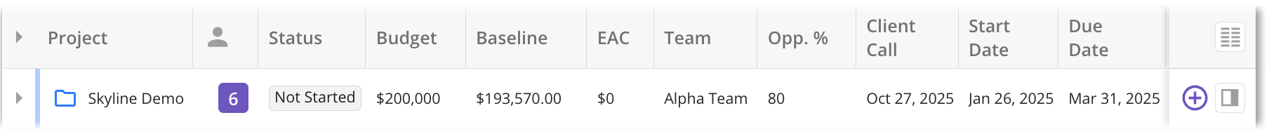 Project Custom Fields.png