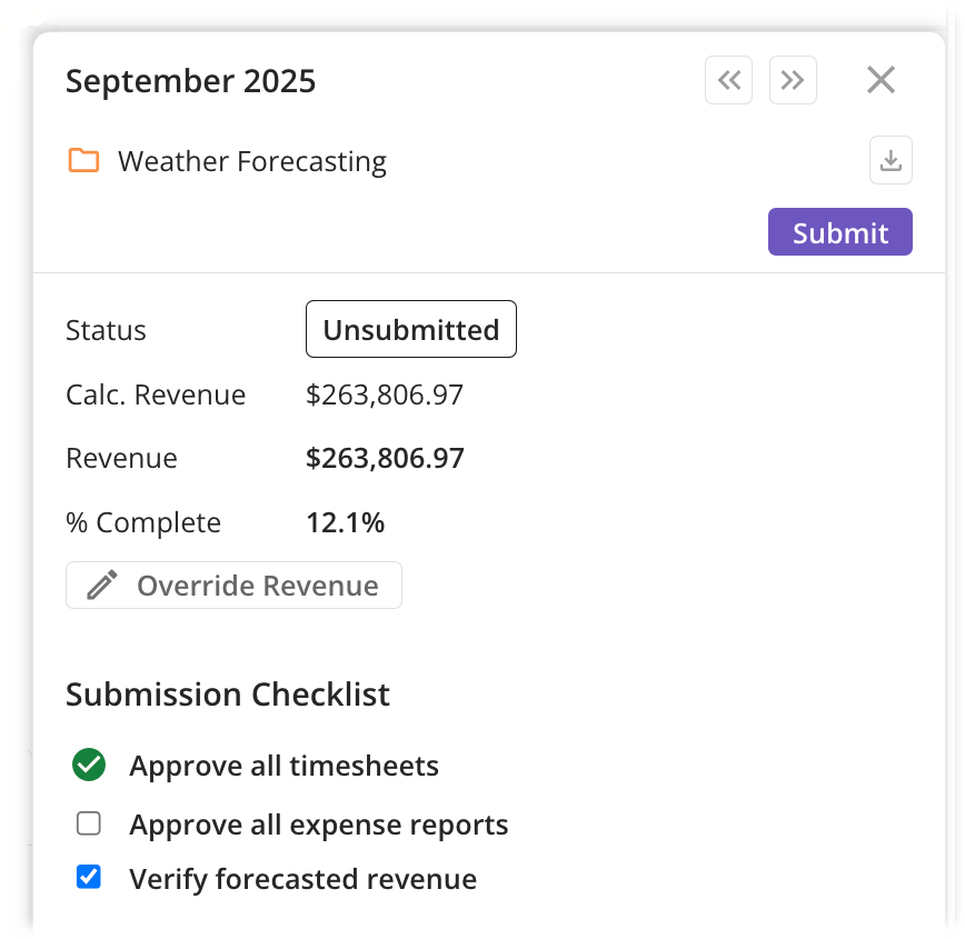 Project Revenue Panel.png