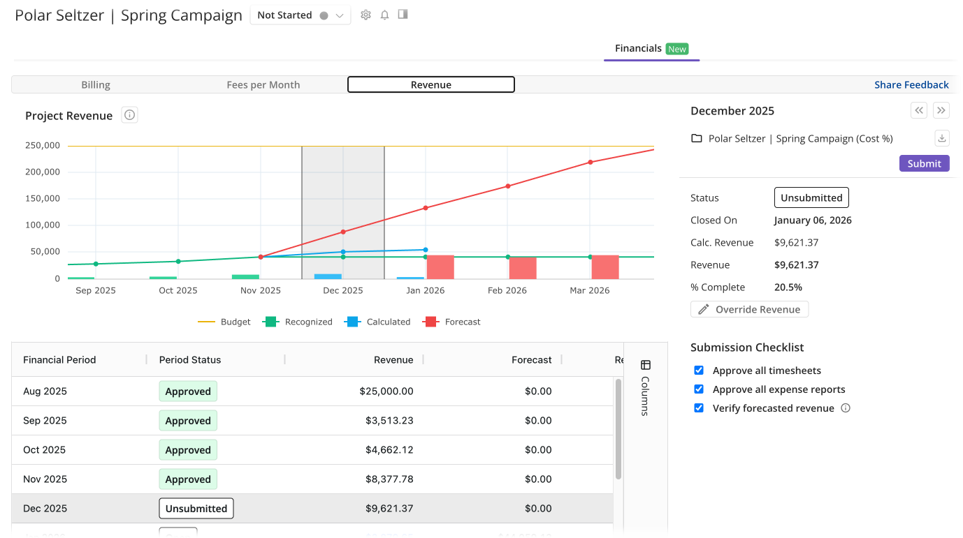 Project Revenue page_shadowless.png