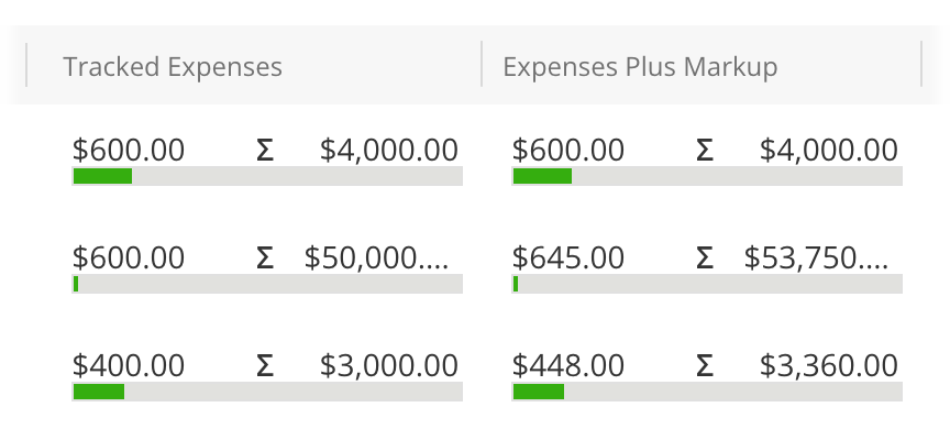 Expense Budgets columns.png