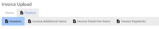 invoices_data_set_tabs.png